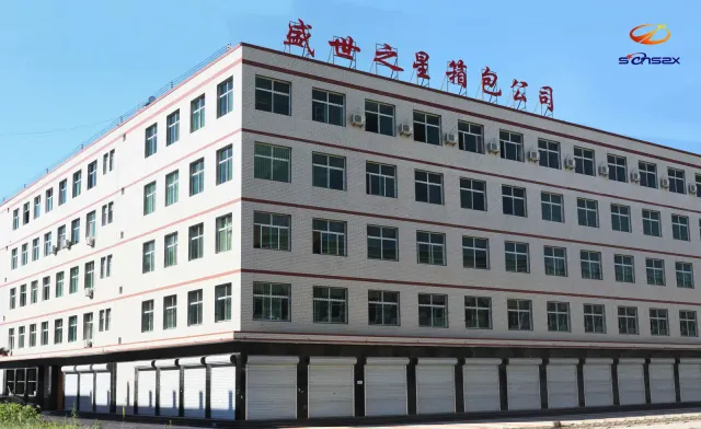 Senszx factory building in Baigou, Hebei
